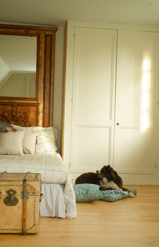 Bedroom with wooden wardrobe, bed, and vintage trunk and dog with dog bed.