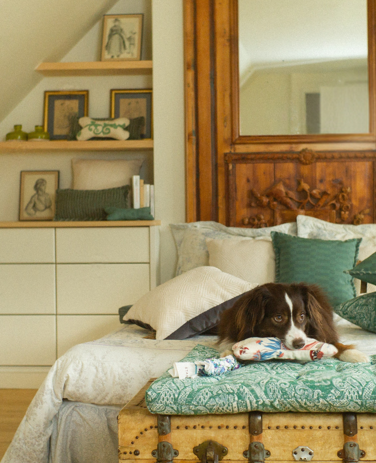 Dog lying on a bed with decorative pillows and a wooden headboard in a cozy bedroom.