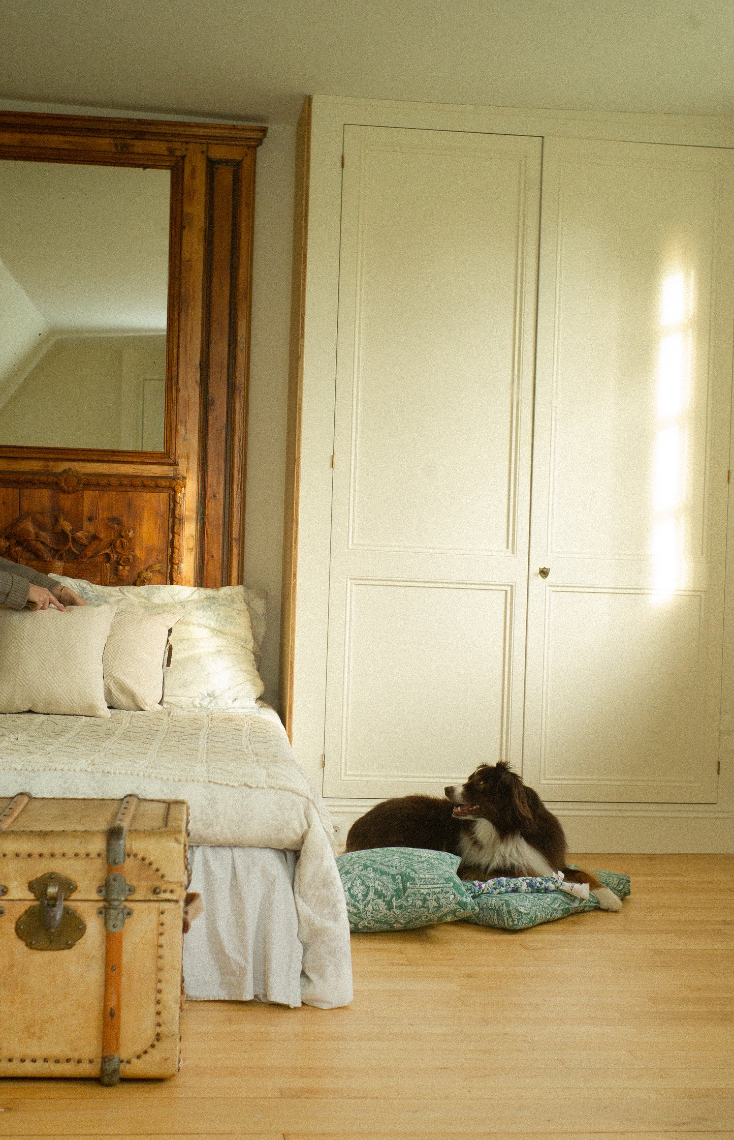 Bedroom with wooden wardrobe, bed, and vintage trunk and dog with dog bed.