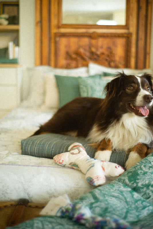 Dog lying on a couch with pillows and a toy, in a cozy bedroom setting.