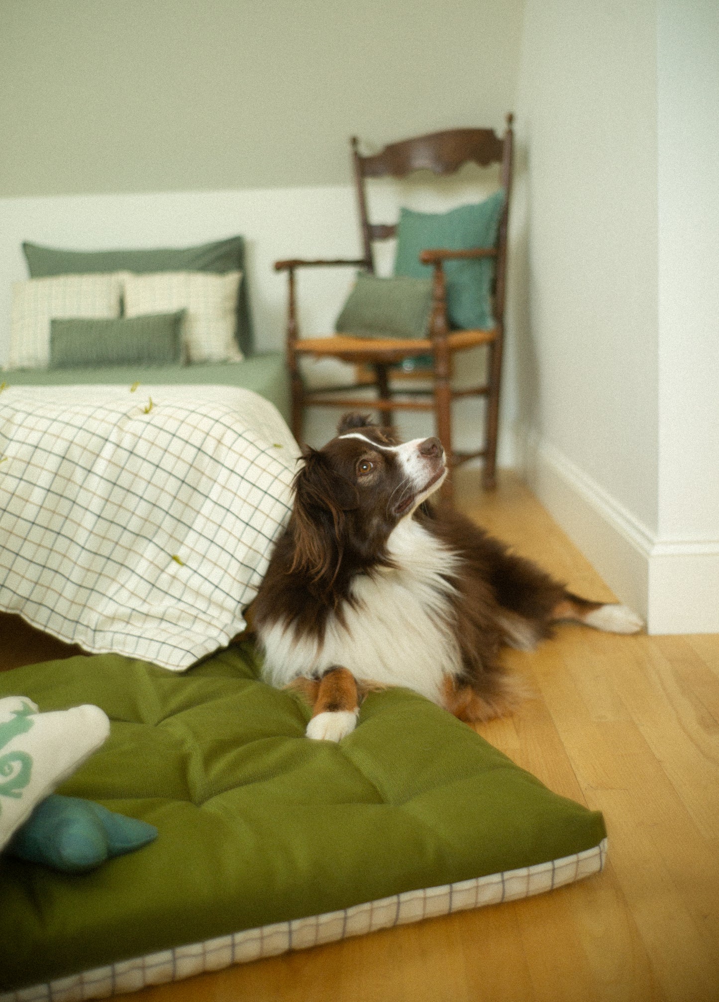 Dog on a green pet bed in a room with a chair and cushions.