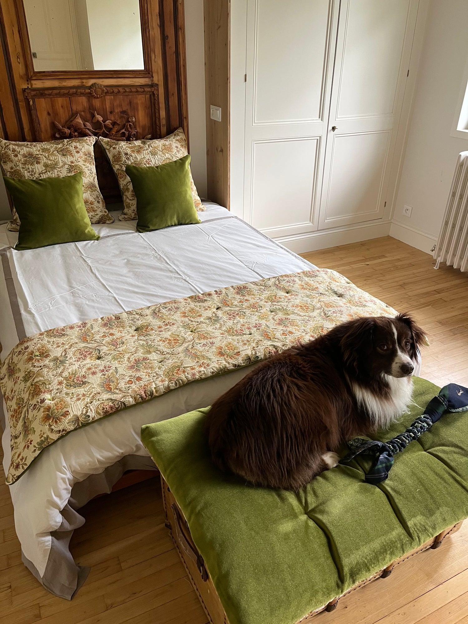Dog lying on a green velvet dog bed next to a bed with floral bedding in a bedroom.