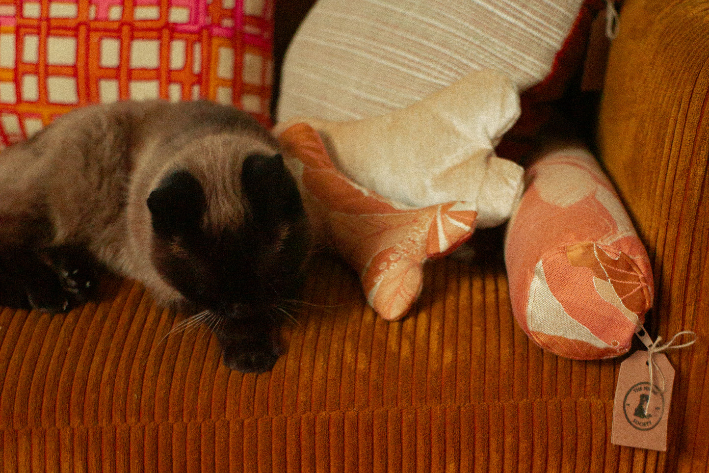 Cat lying on a velvet sofa with a plush toy orange decorative pilows