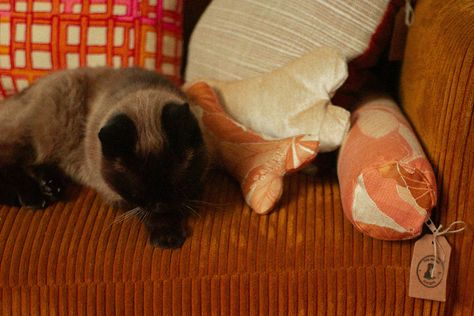 Cat lying on a velvet sofa with a plush toy orange decorative pilows