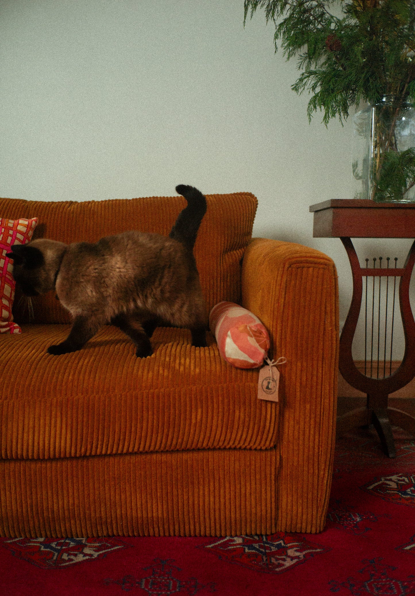 Cat walking on an orange couch with a colorful bolster.